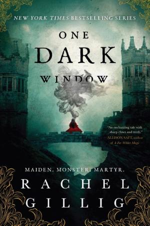 One Dark Window by Rachel Gillig — book cover