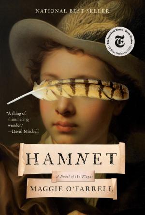 Hamnet by Maggie O'Farrell — book cover