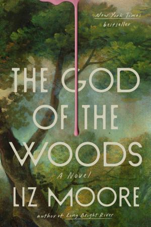 The God of the Woods by Liz Moore — book cover