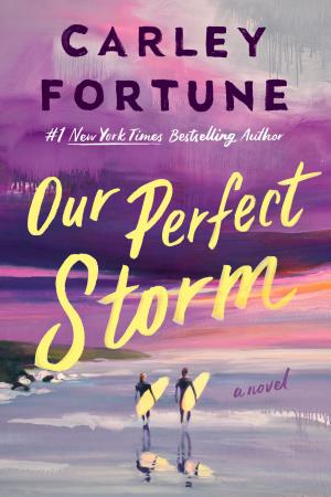 Our Perfect Storm by Carley Fortune — book cover