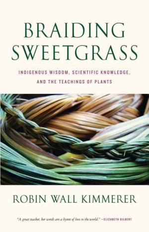 Braiding Sweetgrass by Robin Wall Kimmerer — book cover